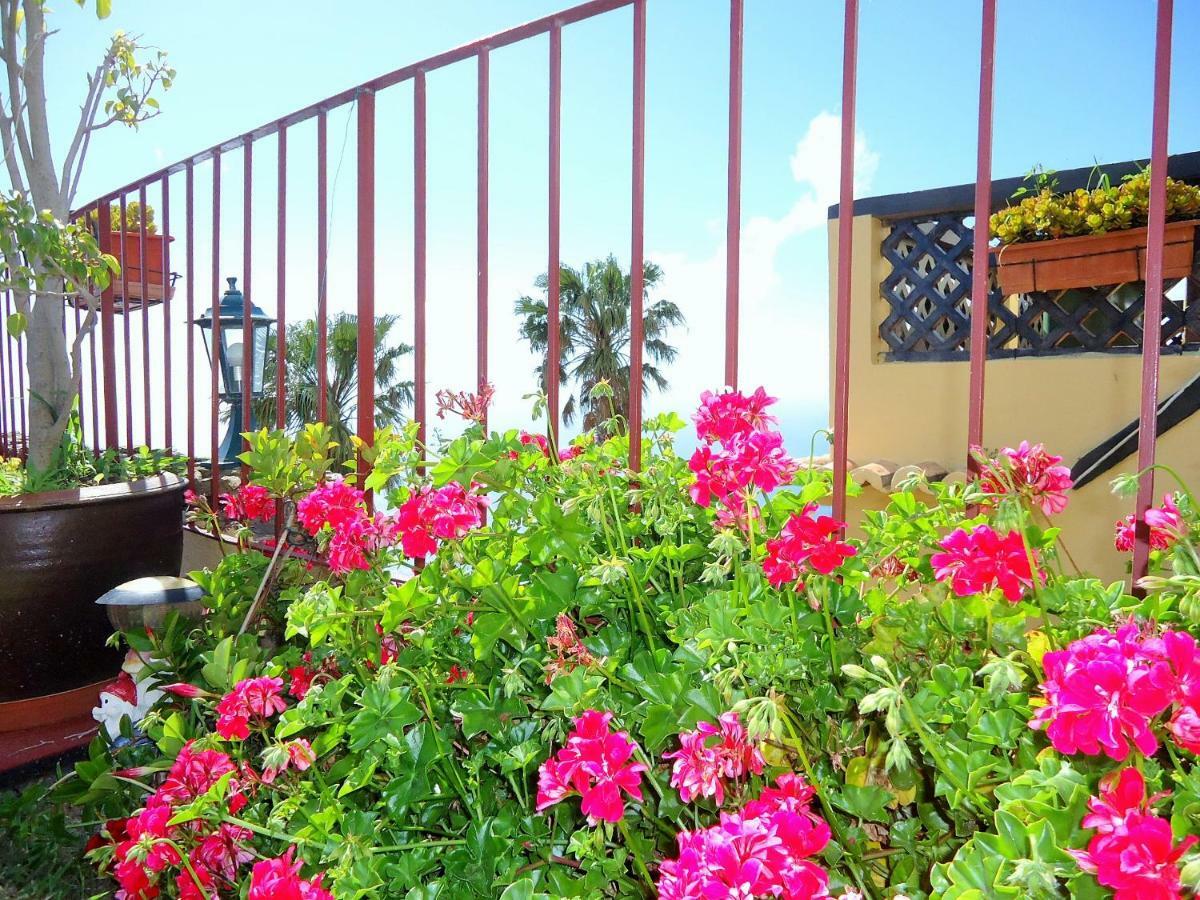 Casal Sao Joao Cottages 106 Фажан-да-Овель Экстерьер фото